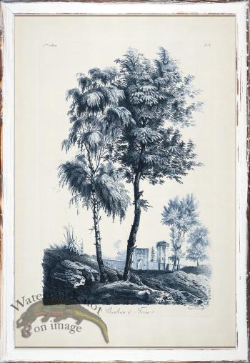 Blue Trees in Distressed White 12